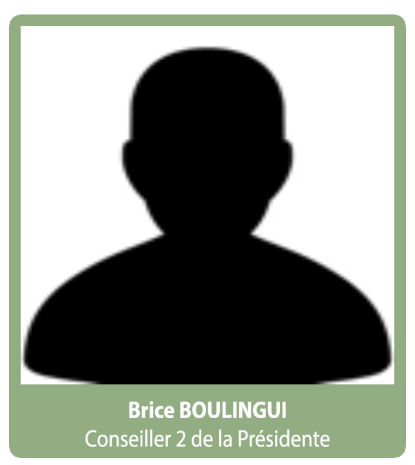 briceboulingui